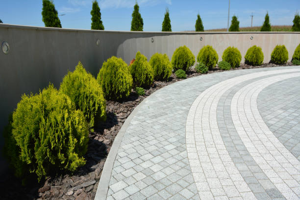 Best Residential Paver Driveway  in Lutherville, MD